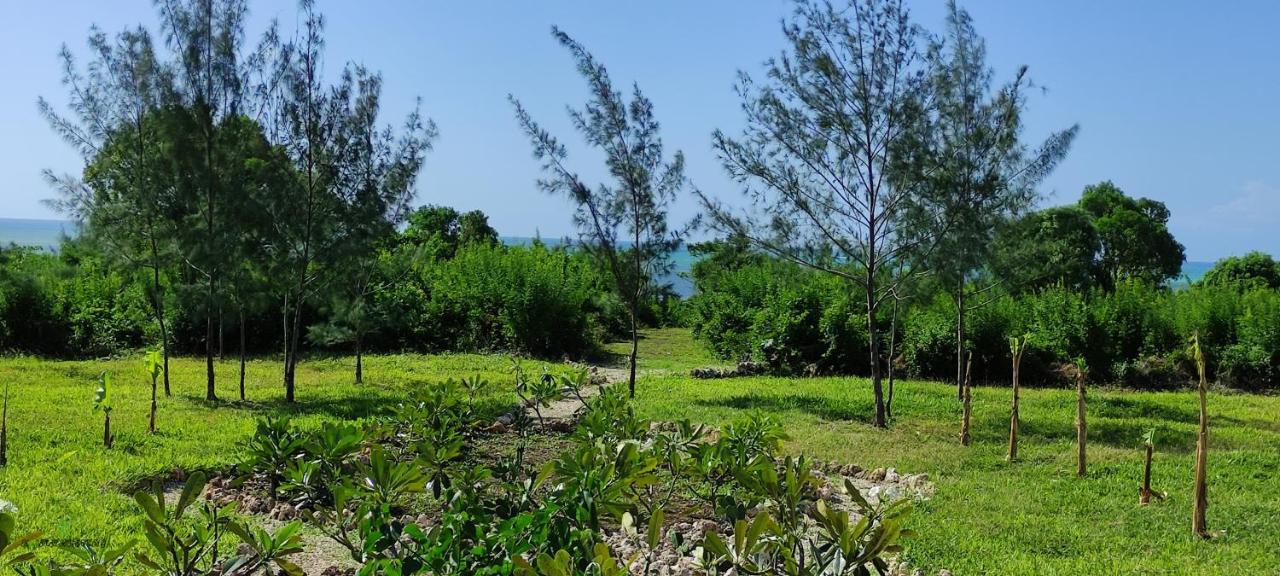 Amani Villas Nature Retreat Michamvi Esterno foto
